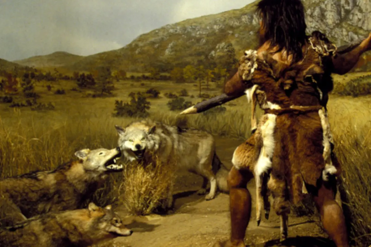 Filmes de Pré-História